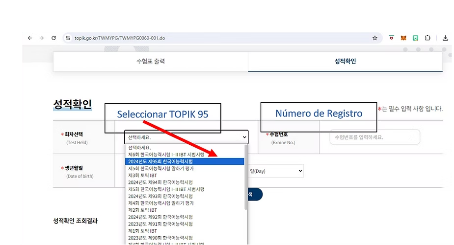 Como buscar resultados topik